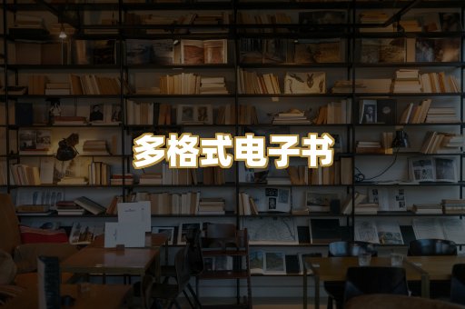 多格式电子书